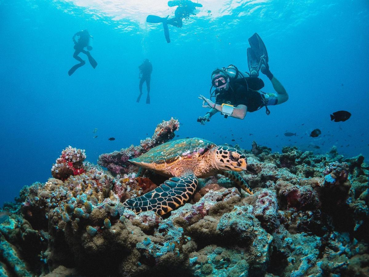 Hotel Bliss Dhigurah Dhigurah  Exteriér fotografie